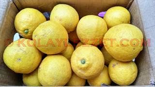 BERGAMOT RECELI NASIL YAPILIR 6