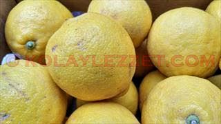 BERGAMOT RECELI NASIL YAPILIR 7