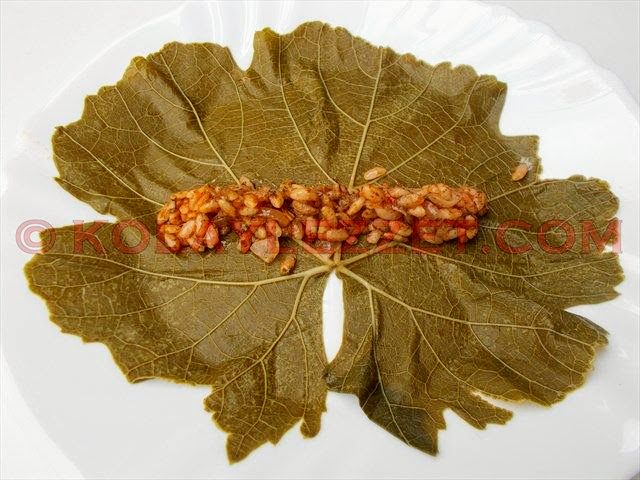 ZEYTINYAGLI YAPRAK SARMA YALANCI DOLMA 6